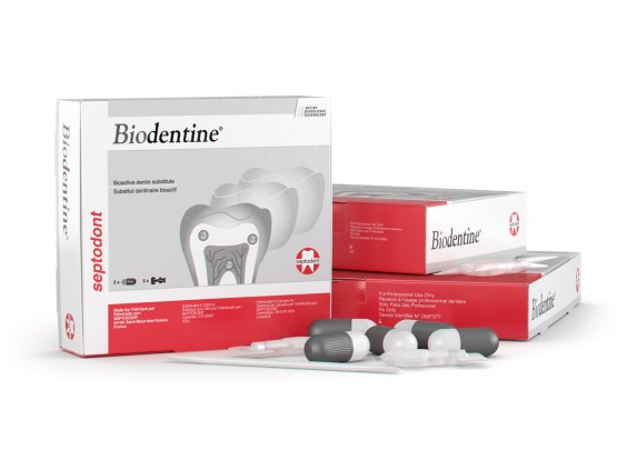 Биодентин Biodentine (15*0,7г+15г жидк)   (Septodont)
